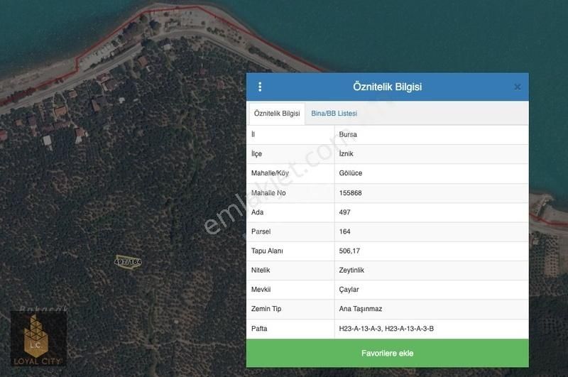 İznik İlçesi Göllüce'de 506,17 M2 Zeytinlik