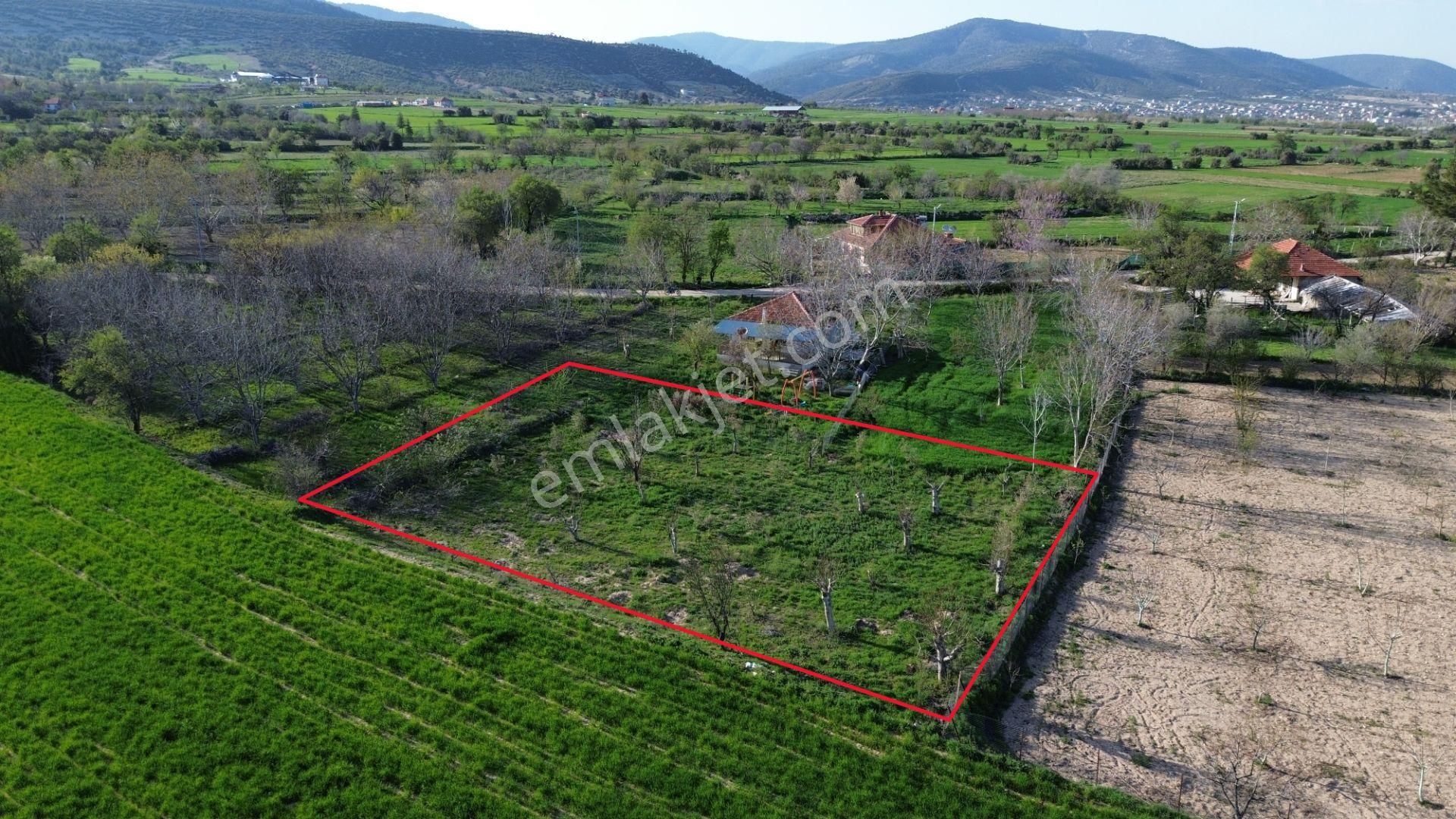 Korkuteli Yeltende Yetişmiş Ağaçları İle Satılık 1.169 M2 Bahçe - Görsel 3