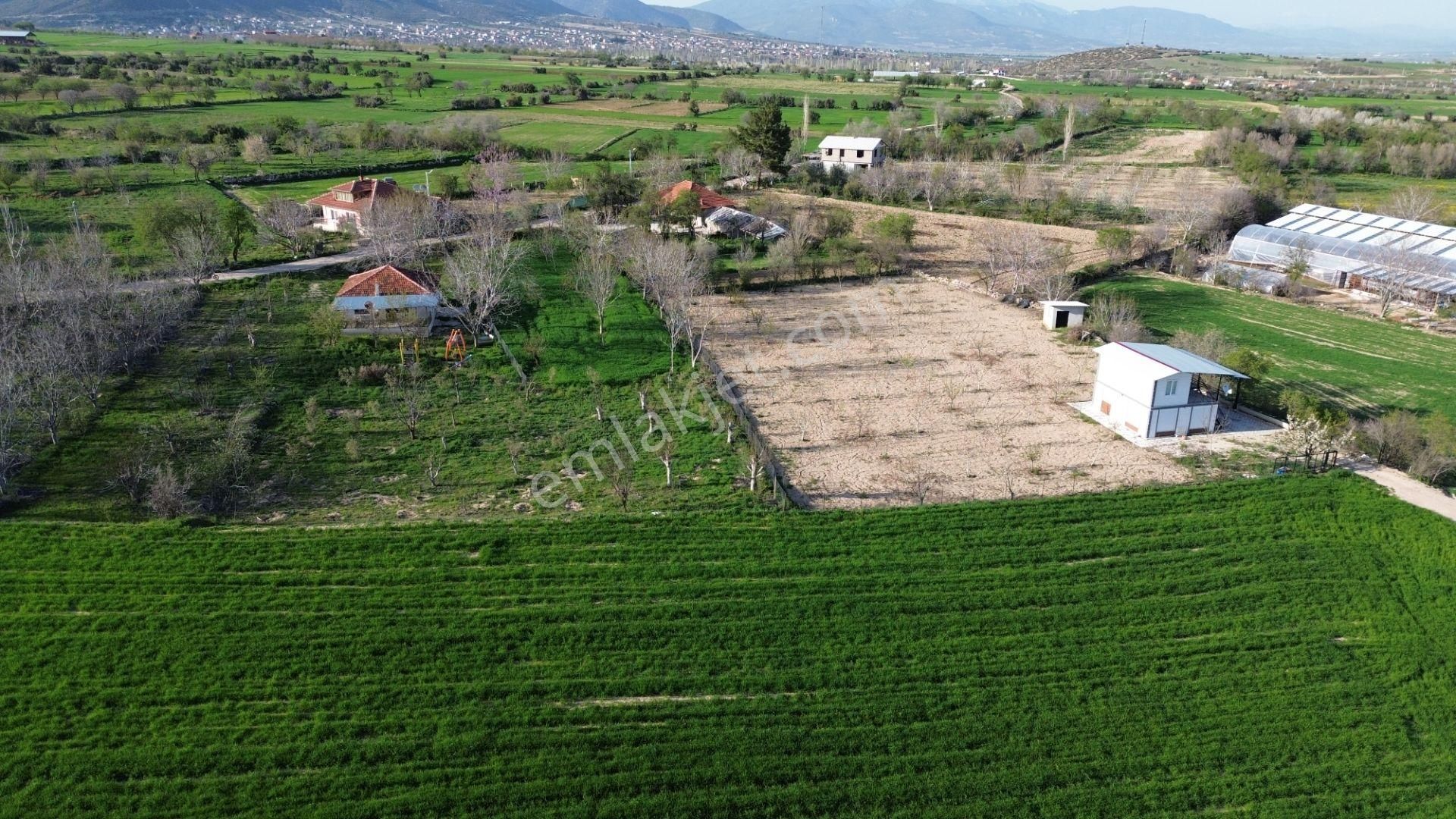 Korkuteli Yeltende Yetişmiş Ağaçları İle Satılık 1.169 M2 Bahçe - Görsel 9