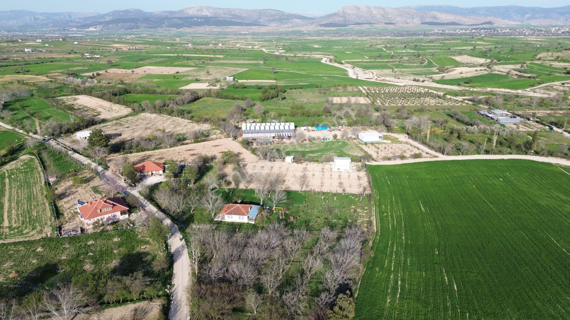 Korkuteli Yeltende Yetişmiş Ağaçları İle Satılık 1.169 M2 Bahçe - Görsel 7