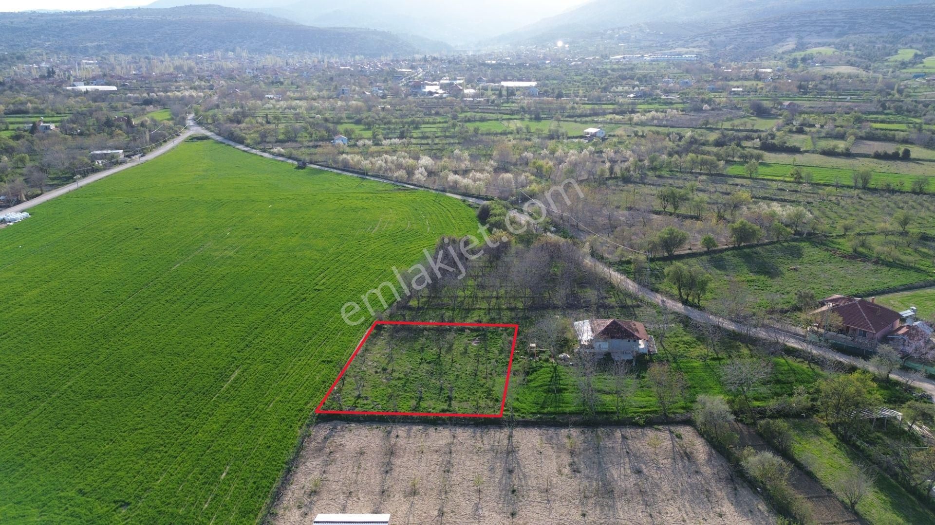 Korkuteli Yeltende Yetişmiş Ağaçları İle Satılık 1.169 M2 Bahçe - Görsel 2