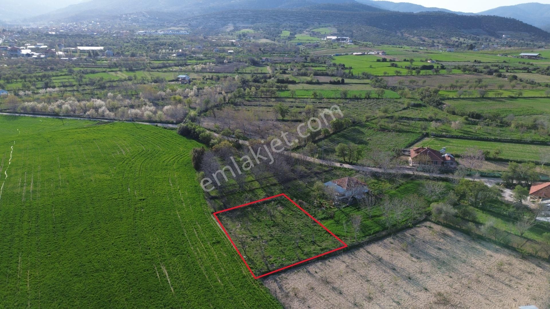 Korkuteli Yeltende Yetişmiş Ağaçları İle Satılık 1.169 M2 Bahçe - Görsel 5