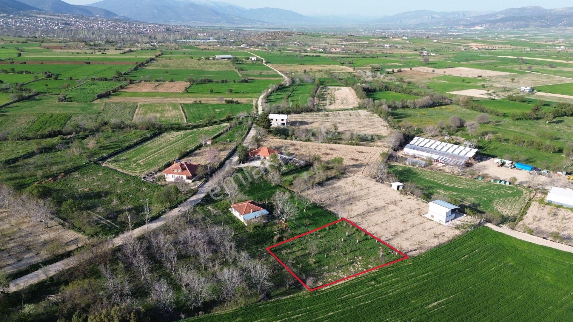 Korkuteli Yeltende Yetişmiş Ağaçları İle Satılık 1.169 M2 Bahçe - Görsel 8