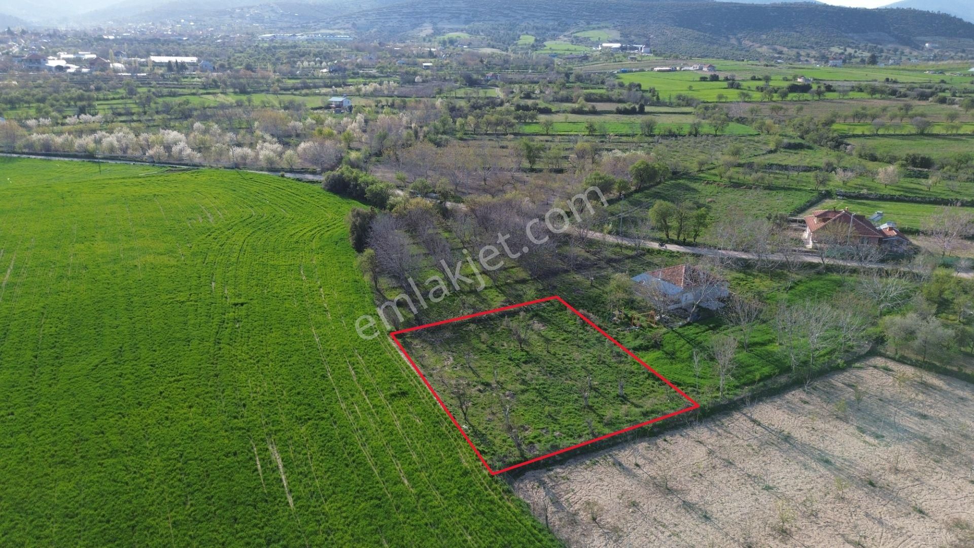 Korkuteli Yeltende Yetişmiş Ağaçları İle Satılık 1.169 M2 Bahçe - Görsel 4