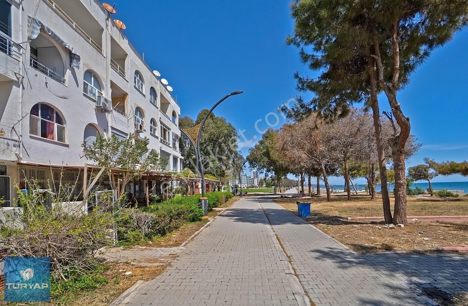 Tece'de Lebiderya 2+1