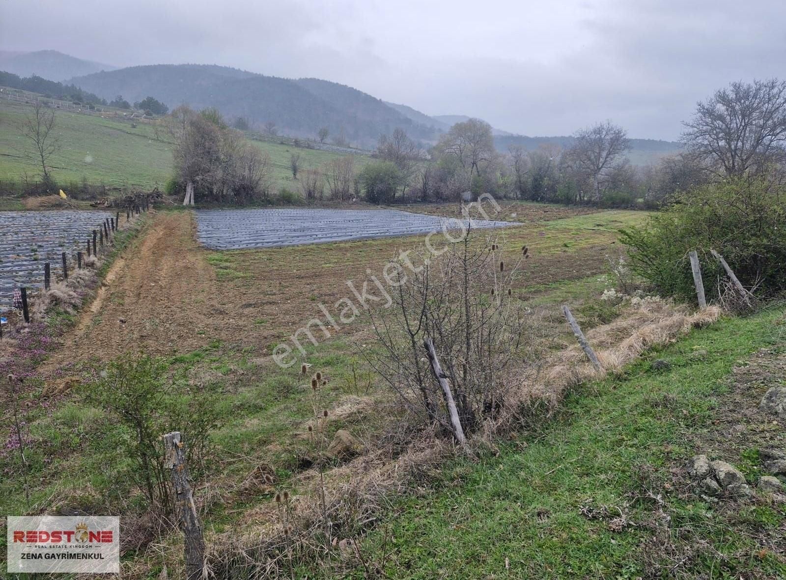 Çilekli'de Resmi Yollu 3 Parsel 4.415 M² Yerimiz Satılıktır - Görsel 9