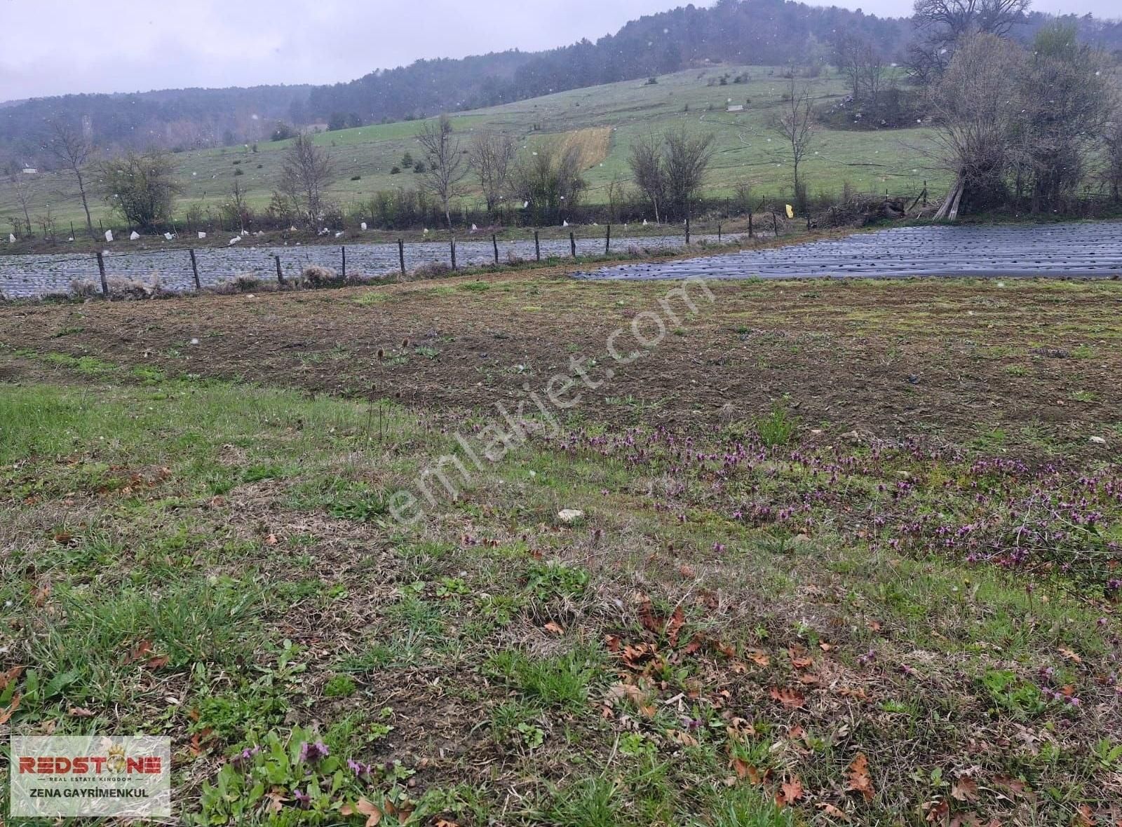 Çilekli'de Resmi Yollu 3 Parsel 4.415 M² Yerimiz Satılıktır - Görsel 13