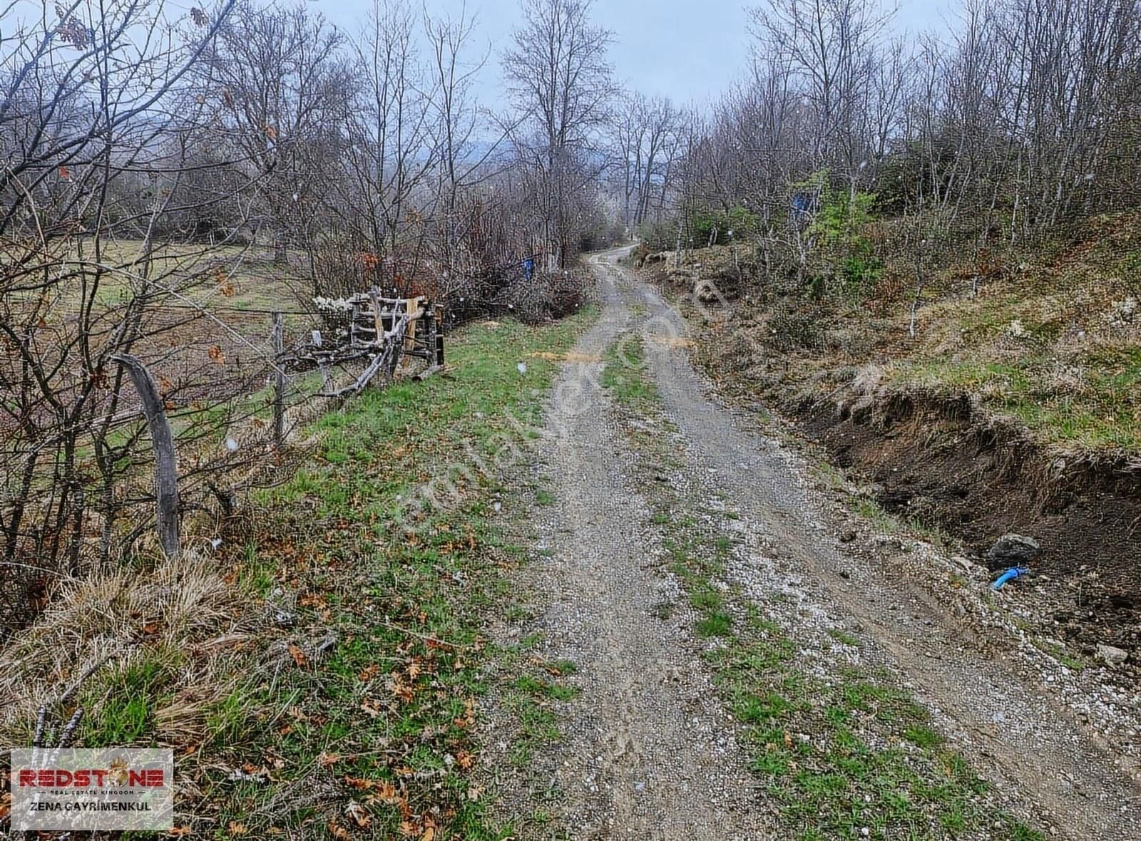 Çilekli'de Resmi Yollu 3 Parsel 4.415 M² Yerimiz Satılıktır - Görsel 4