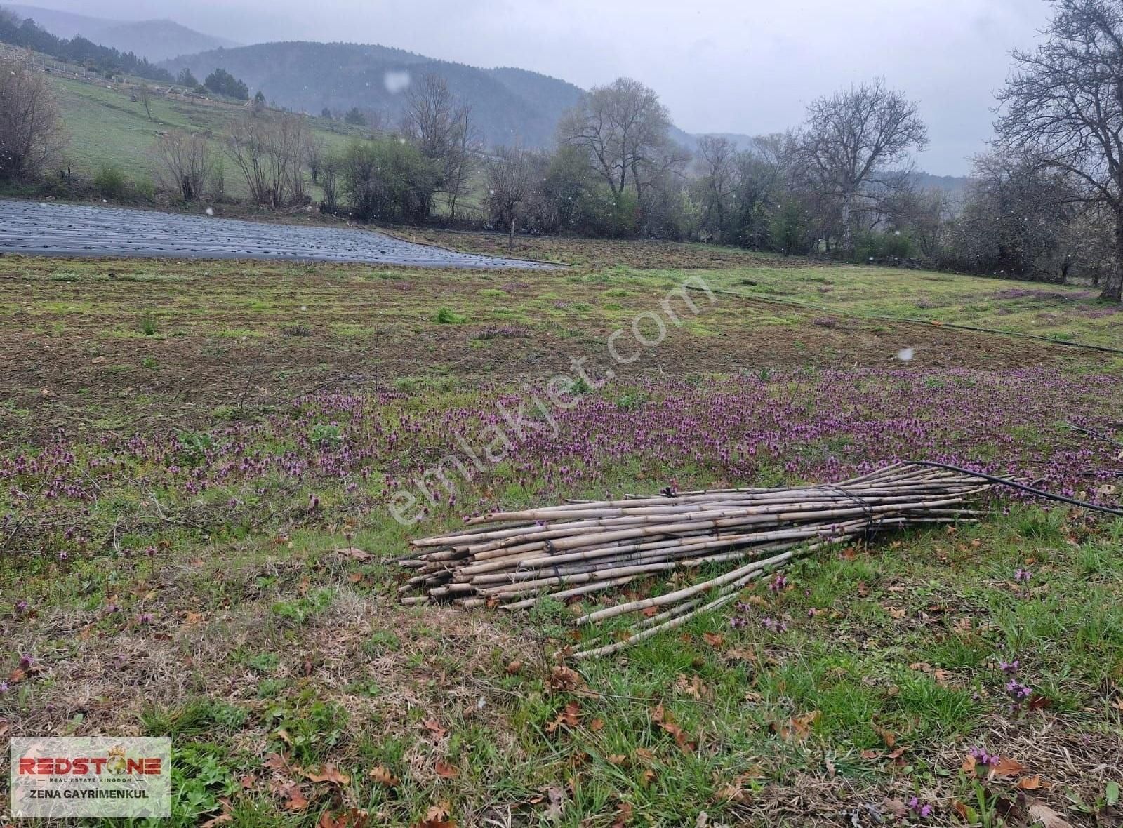 Çilekli'de Resmi Yollu 3 Parsel 4.415 M² Yerimiz Satılıktır - Görsel 5