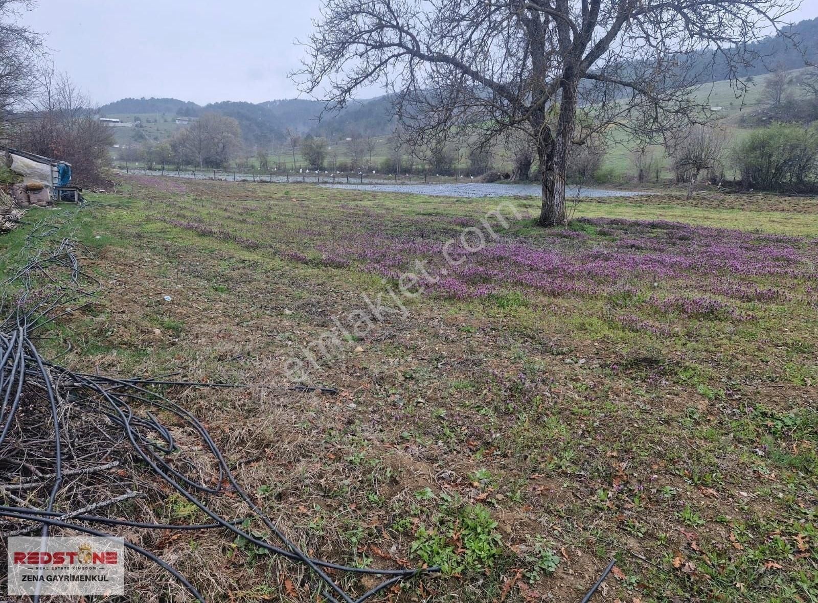 Çilekli'de Resmi Yollu 3 Parsel 4.415 M² Yerimiz Satılıktır - Görsel 3