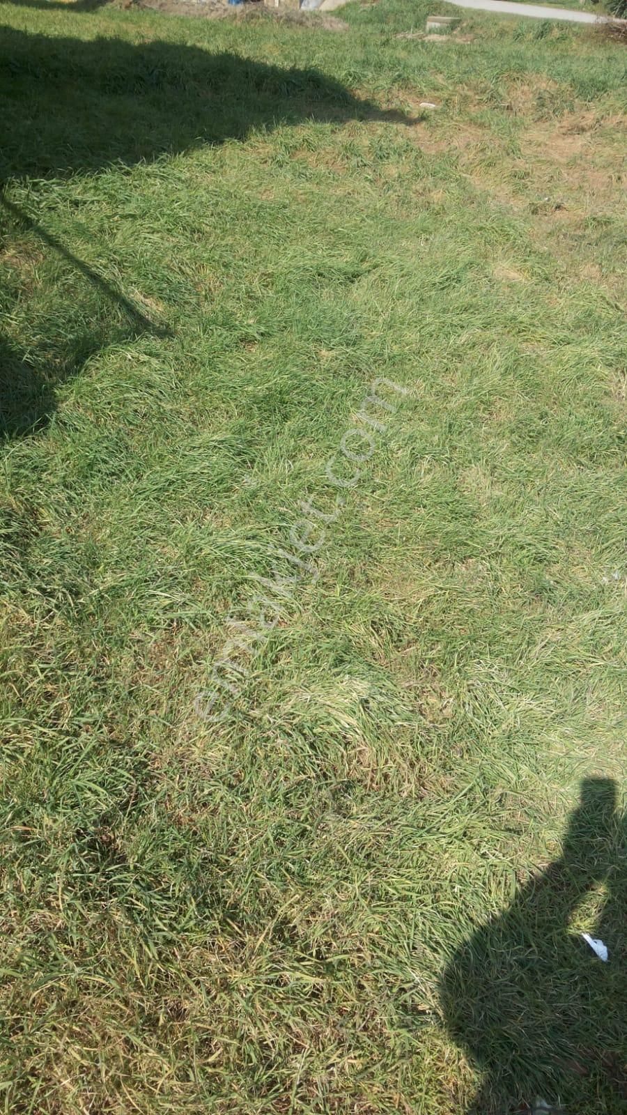 İzmit Zeytinburnunda 3000m Satılık İmarlı Düşeş Kazandıracak Arsa No:185