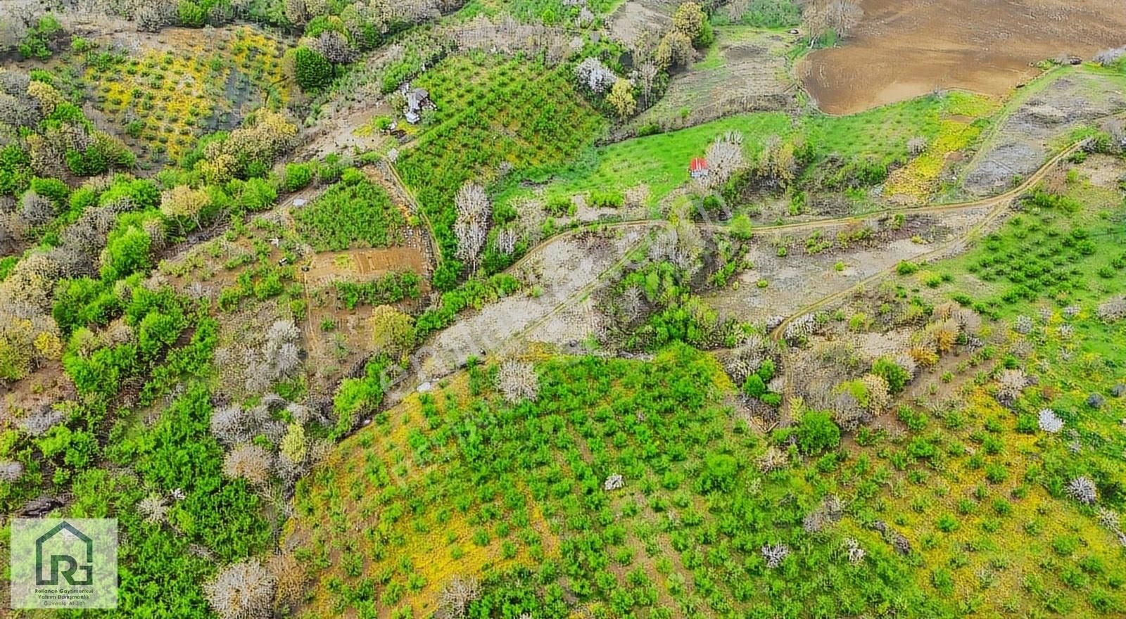 Reliance G.d. Satılık Kandıra Yatırımlık Tarla