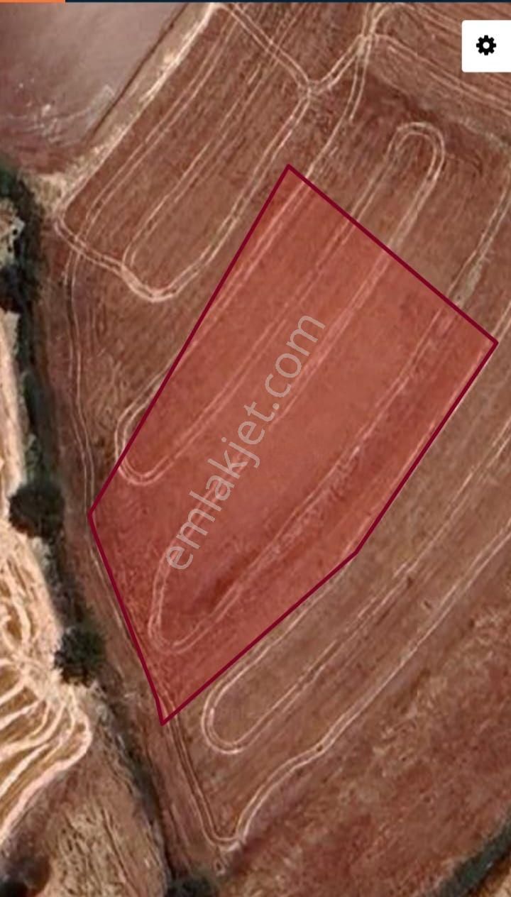 Güzelyürt Köyünde Stılık Mustakil Tapulu Tarla