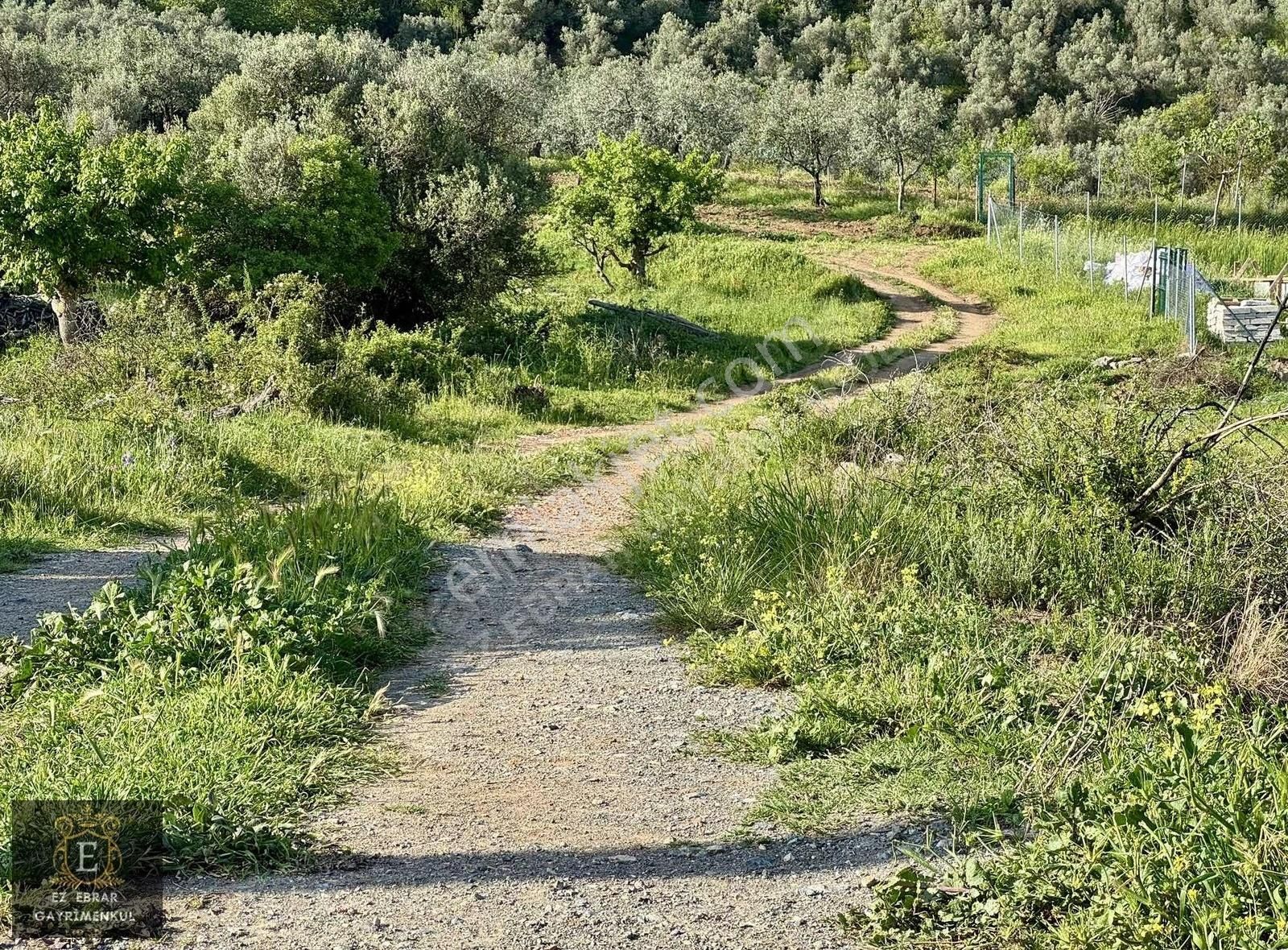 Mudanya Kaymakoba'da 550 M2 Hobi Bahçesi