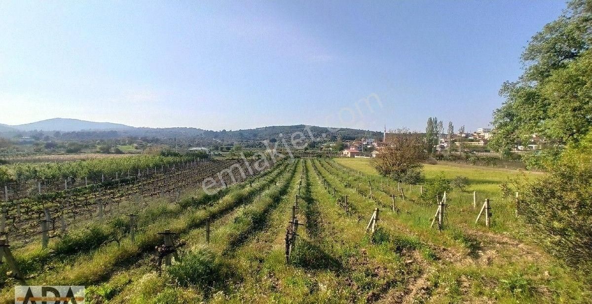 Aydın Kuşadası Çınarköyde Müstakil Parsel Yola Sıfır Bahçe