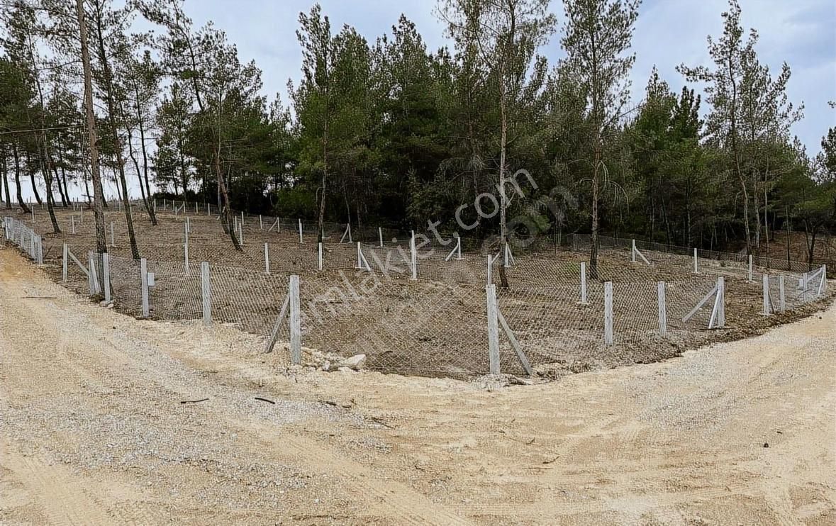 Dogayla İç İçe Huzurlu Bir Yasam Alanı!kaçırılmıcak Yatırım Fırsatı!!!