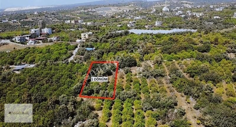 Erdemli Tabiye Mahallesi 1 Dönüm Tek Tapu Satılık