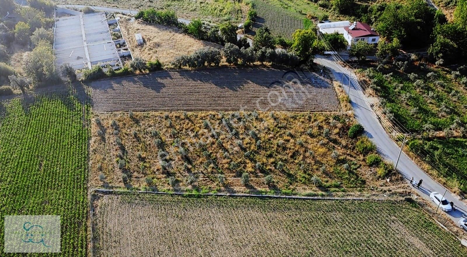 Sedir'den Yaka Mh. Köyiçi İmarlı 2309 M2 Satılık Arsa