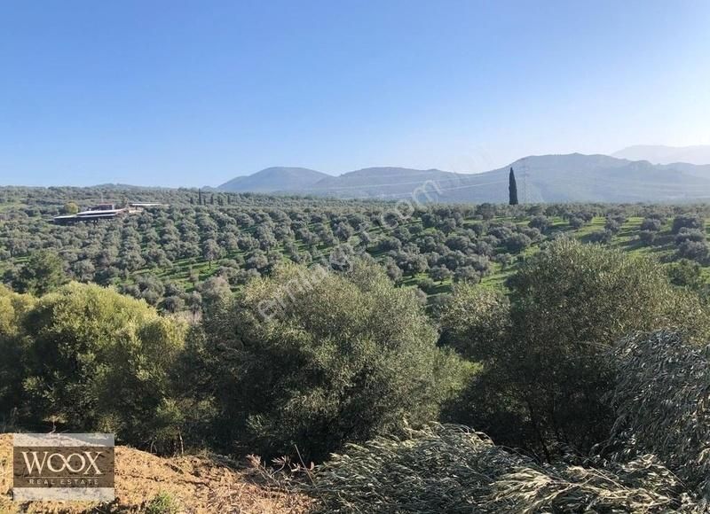 Kirazlı Yolu Üzerinde Üst Tarafta Satılık Arsa