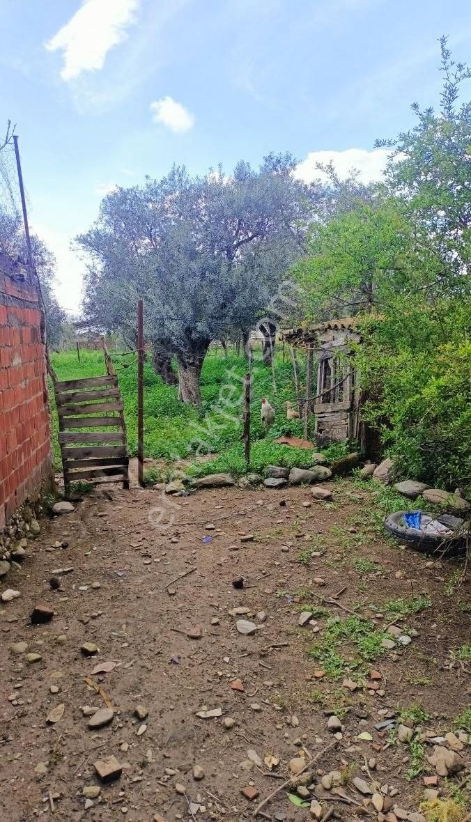 Kahrat'ta Suyu Olan İmarlı Arsa