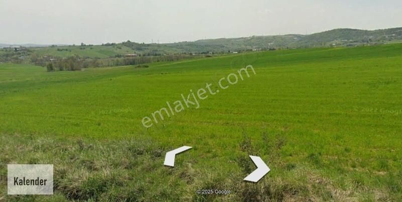 Kocaeli Körfez Kutluca Da 2 Dönüm Diğer Tarım Manzaralı Konum