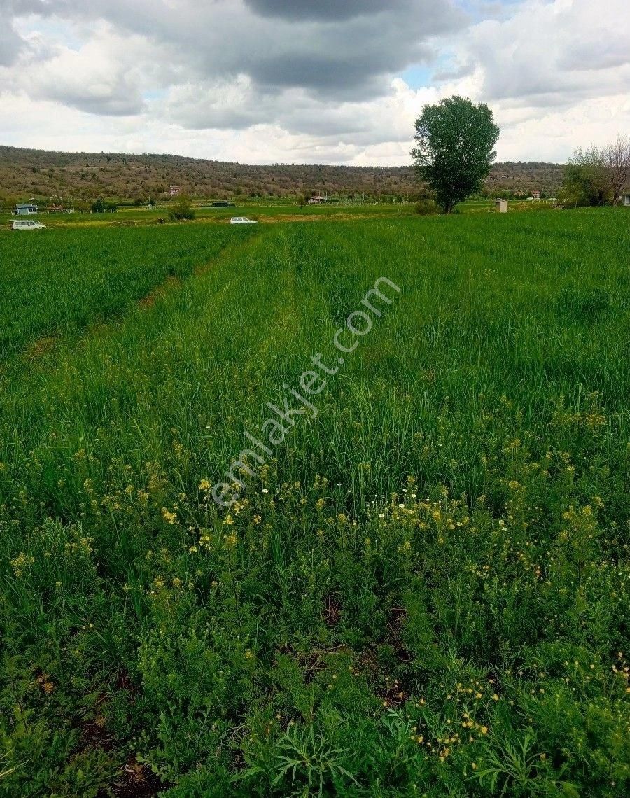 Kayasuda Süper Konum