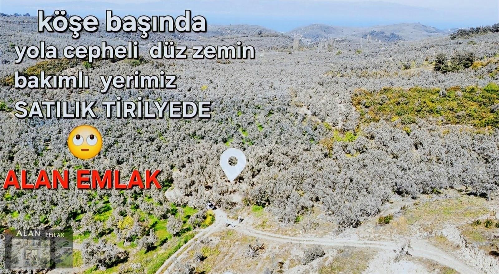 Talatbeyde Yola Cephe Süper Yer - Görsel 11