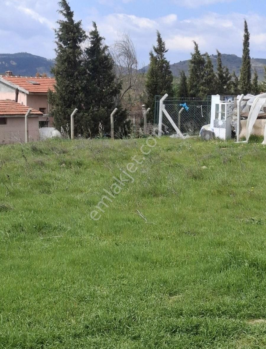 Foça Yeni Foça Fevzi Çakmakta 311 M2 Bahçe Acil Satılık