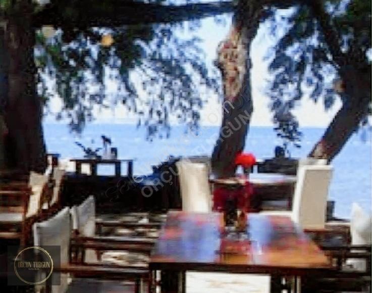 Bodrum Gümüşlük Yalıkavak Geniş Bahçeli Havuz Projeli Köşe Villa - Görsel 28