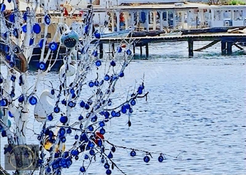 Bodrum Gümüşlük Yalıkavak Geniş Bahçeli Havuz Projeli Köşe Villa - Görsel 16