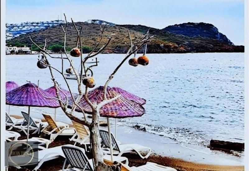 Bodrum Gümüşlük Yalıkavak Geniş Bahçeli Havuz Projeli Köşe Villa - Görsel 20