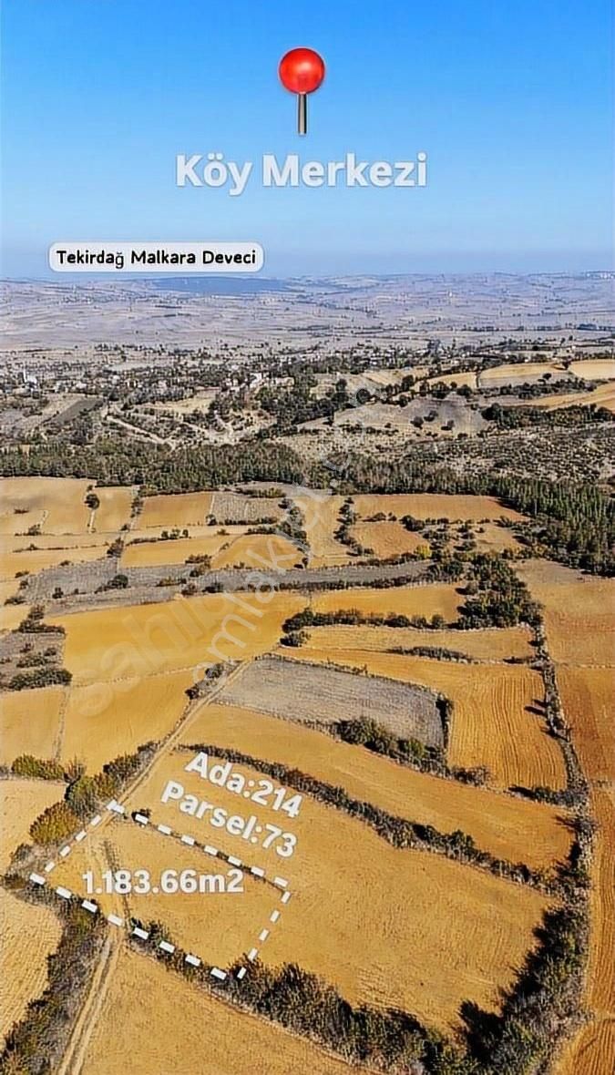 Tekirdağ Malkara Deveci Tek Tapu Harika Konum
