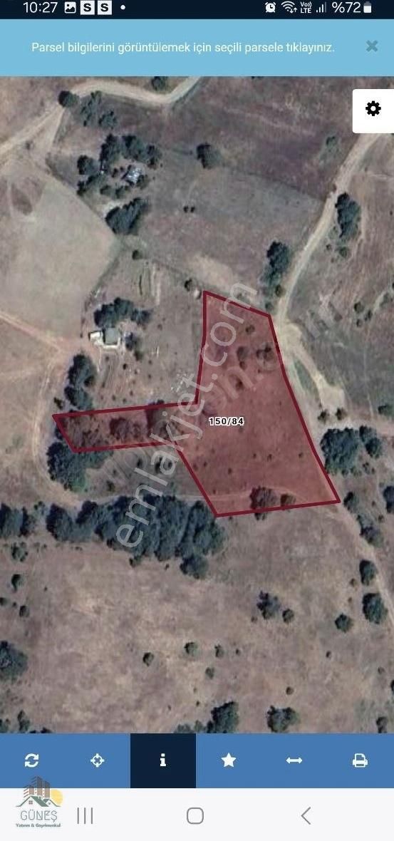 Sakarya Pamukova Çilekli Mahallesinde 4450 M2 Satılık Doğa Manza