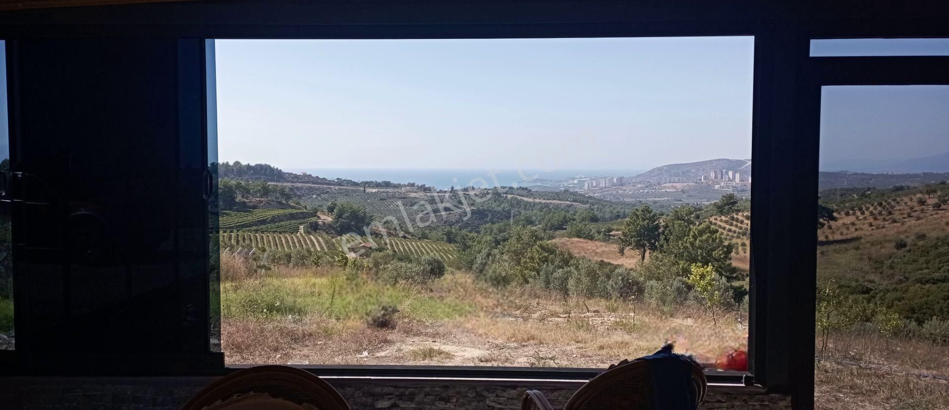 Kuşadası Yaylaköyde Muhteşem Manzaralı Süper Çiftlik - Görsel 17