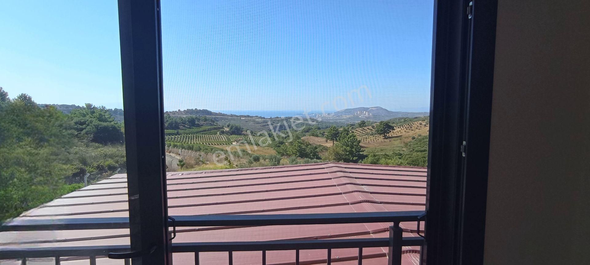 Kuşadası Yaylaköyde Muhteşem Manzaralı Süper Çiftlik - Görsel 14