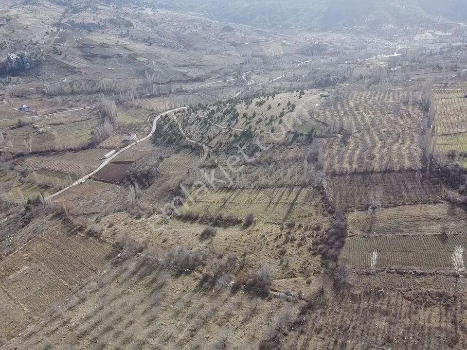 Mersin Erdemli Sorgunda Satılık 1648 M2 Bahçe - Görsel 5