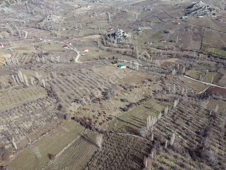 Mersin Erdemli Sorgunda Satılık 1648 M2 Bahçe - Görsel 12