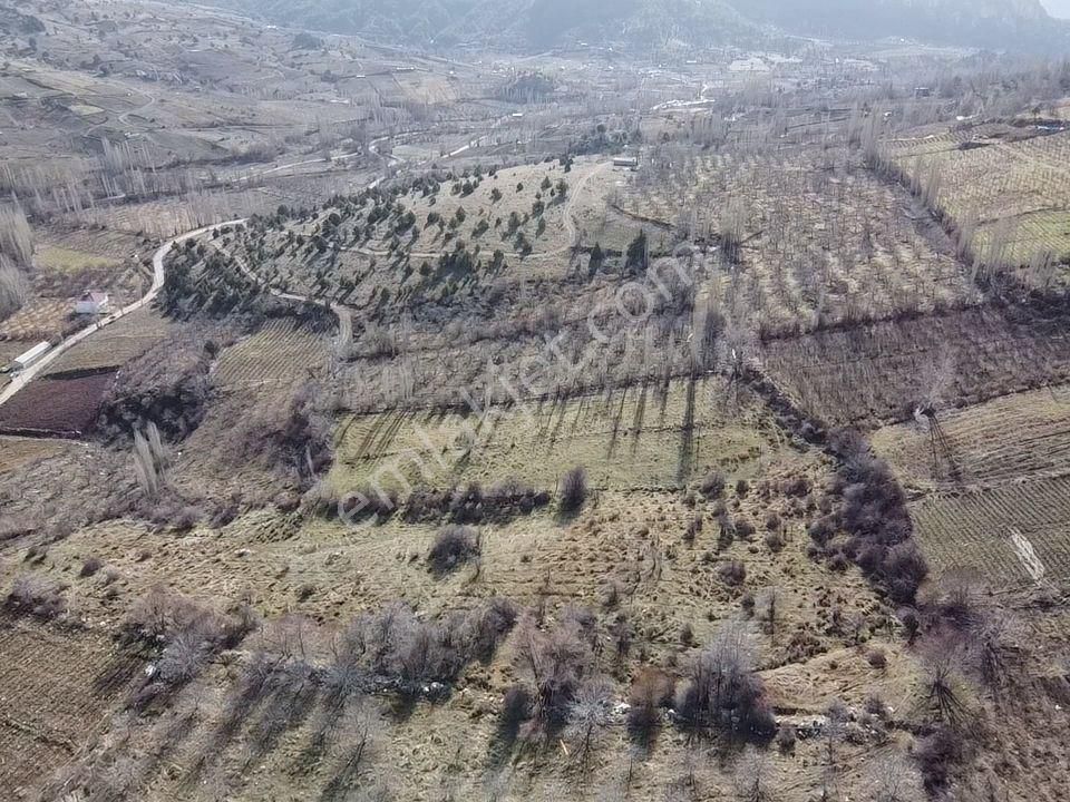 Mersin Erdemli Sorgunda Satılık 1648 M2 Bahçe - Görsel 4