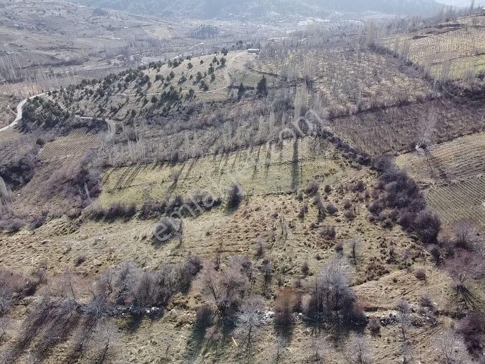 Mersin Erdemli Sorgunda Satılık 1648 M2 Bahçe - Görsel 2