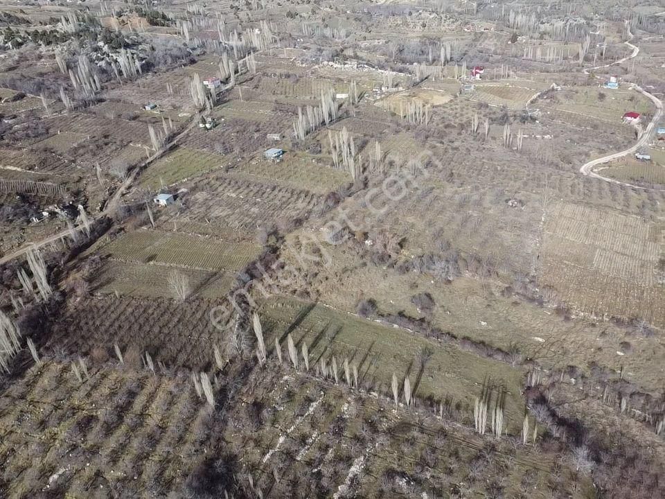 Mersin Erdemli Sorgunda Satılık 1648 M2 Bahçe - Görsel 13