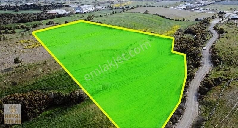 Ezine Çarıksız Köyünde 20.300 M² Satılık Arazi