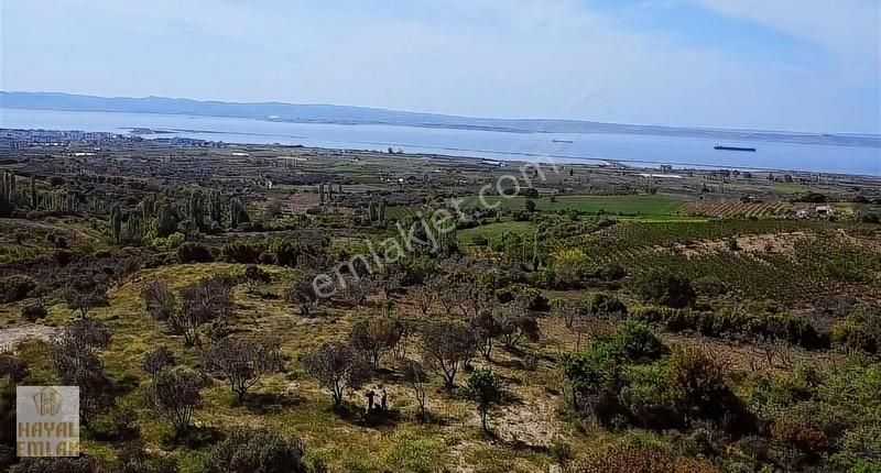 Panoramik 1915 Köprüsü Ve Boğaz Manzaralı 10.000 M2 Bağ