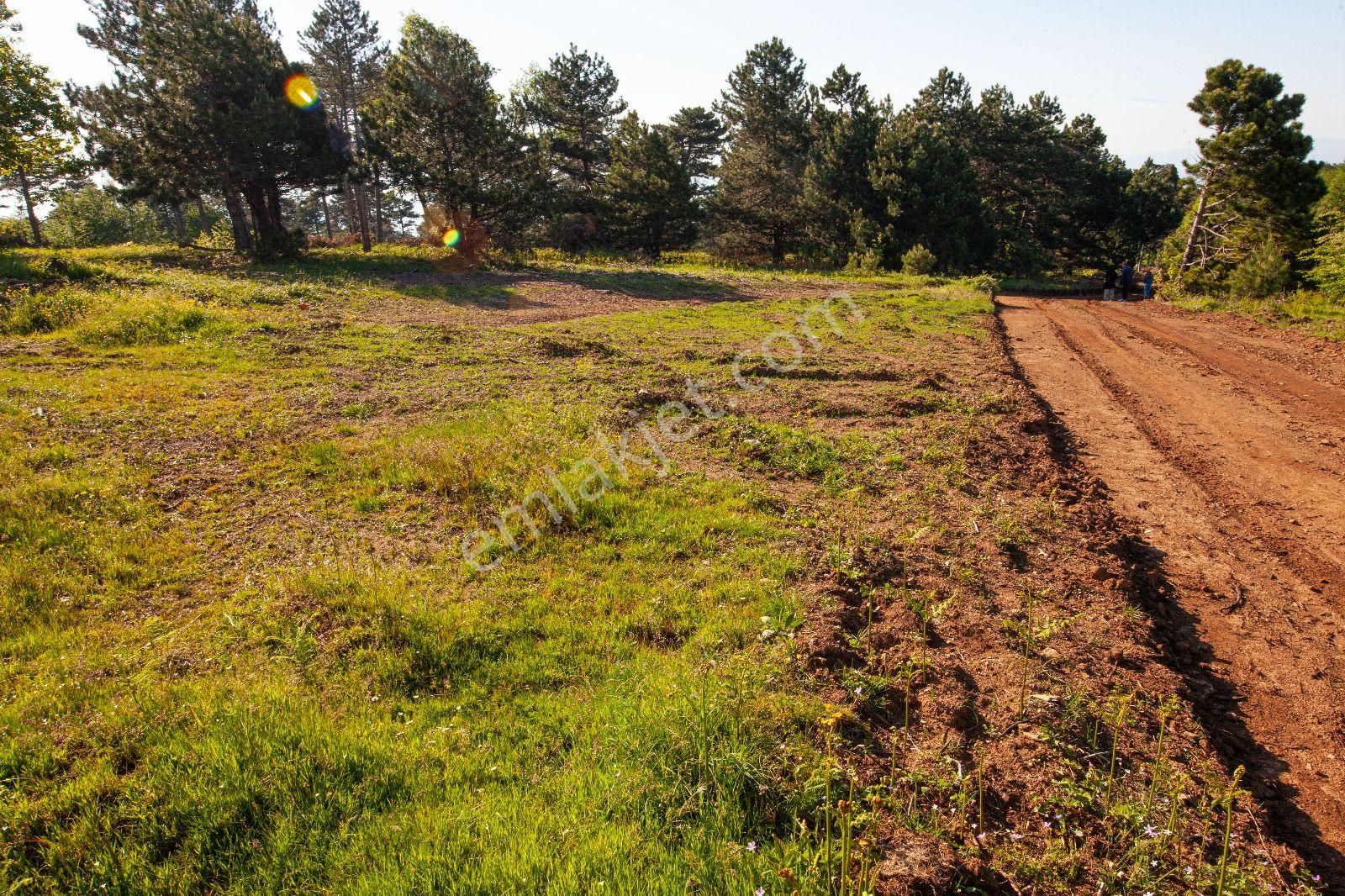 Bursa Mudanya Eğercede Satılık 145 M2 Denize Yakın Arazi