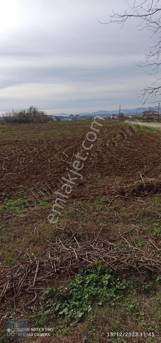 Civan'dan İmar Sınırında Merkeze 3 Km 8.5 Dönüm Satılık Tarla