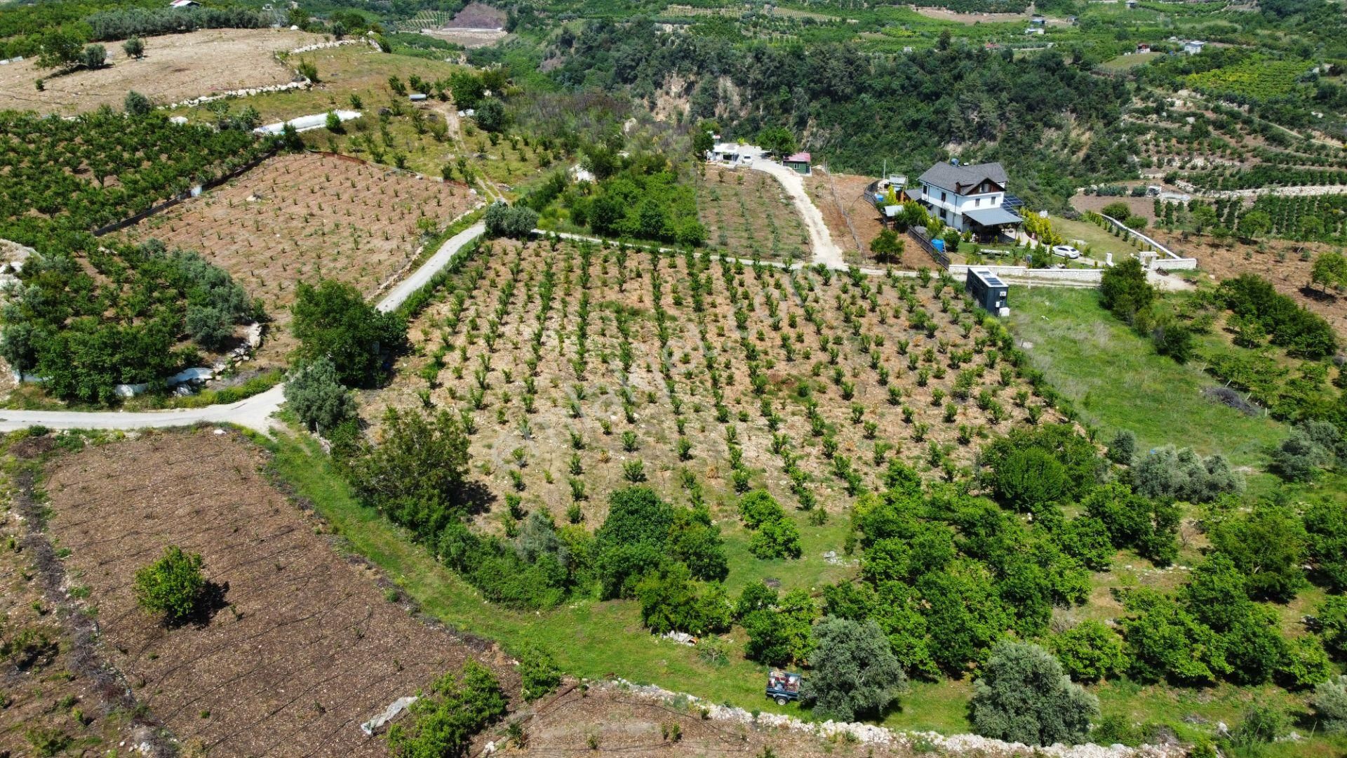 Mersin Yenişehir Uzunkaş Mah 4828 M2 Satılık Bahçe
