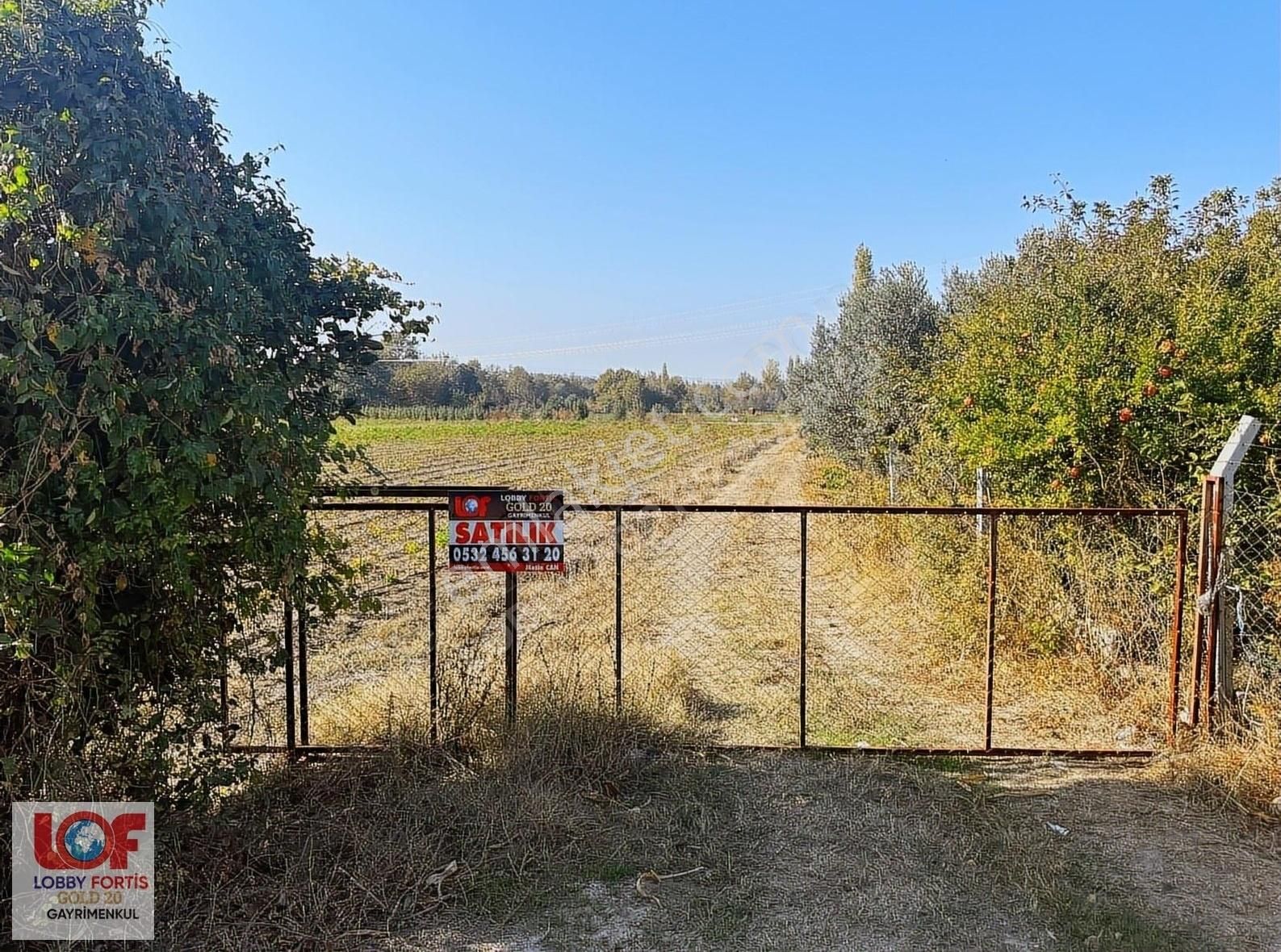 Lobby Fortis'ten Kayhanda Satılık Tek Tapu 18.691 M2 Arazi