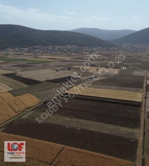 Lobby Fortis'ten Tavas Baharlarda Satılık 6.238 M2 Tarla
