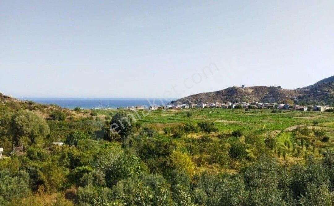 Erdek Ballıpınarmahallesinde Enfes Deniz Manzaralı 820 M2 Satılık Tarla