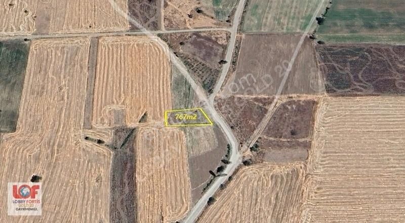 Lobby Fortisten Acıpayam Dedebağda 767 M2 Satılık Tarla