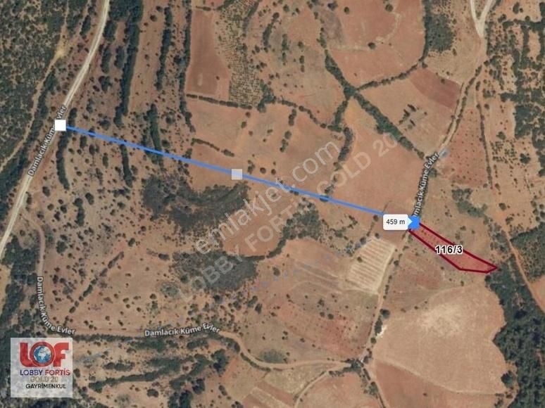 Lobby Fortis'ten Tavas Kayaca'da 1.892 M2 Satılık Hobi Bahçesi - Görsel 10